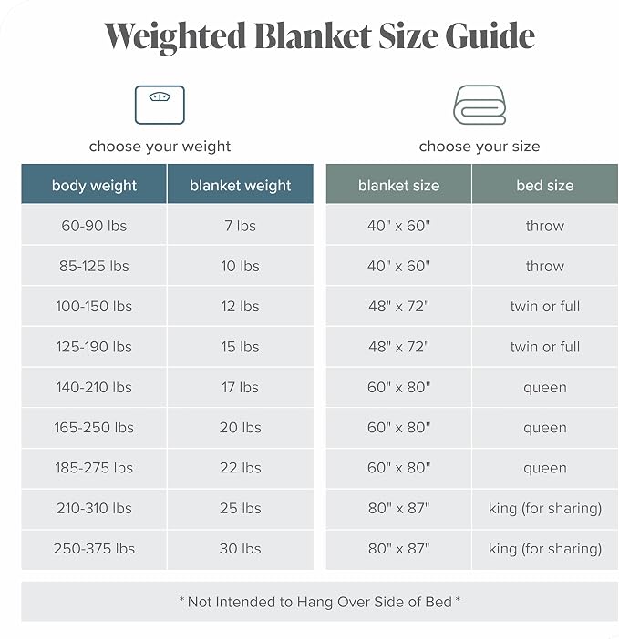 Bare Home Minky Fleece Weighted Blanket (Light Grey, 60"X80" 22lbs) | Queen Size for Adults, Minky Fleece, Premium Heavy Blanket Nontoxic Glass Beads