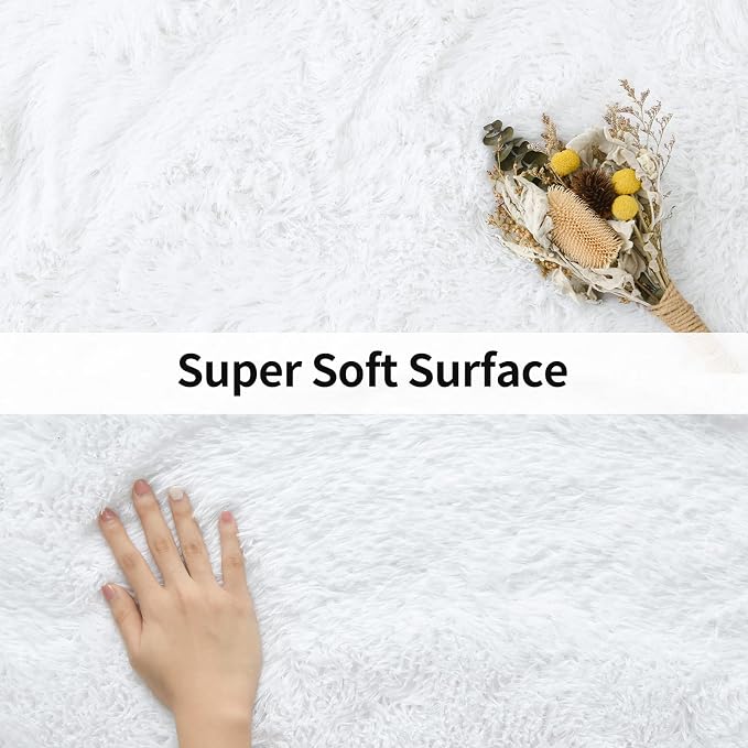 Soft Modern Indoor Shaggy Area Rug for Bedroom Livingroom Dorm Kids Room Home Decorative, Non-Slip Plush Fluffy Furry Fur Rugs Comfy Nursery Accent Floor Carpet 3x5 Feet, White