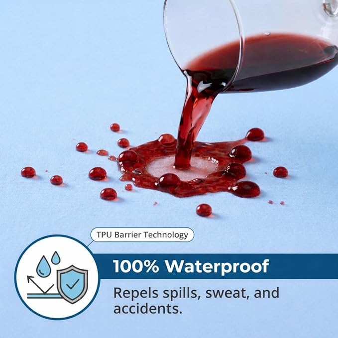 Guardmax Sleeper Sofa Mattress Protector Zippered, Bed Bug Mattress Cover | Waterproof, Dust Mite Proof, 6-Sided, Soft Jersey Knit, Machine Washable, Sleeper Sofa - 60 x 72, up to 6" Deep
