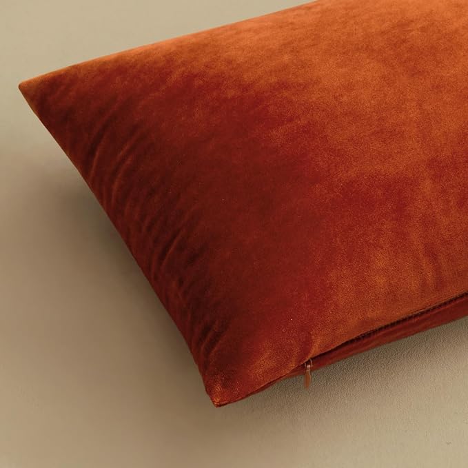 MIULEE Velvet Fall Throw Pillow Covers 12x12 Inch Pack of 2 Burnt Orange | Soft Solid Small Decorative Pillow Covers, Modern Luxury Home Decor, for Couch Chair Sofa Bedroom Livingroom Car