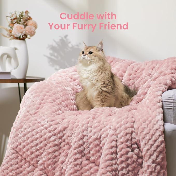 Drewin Weighted Blanket Queen Size 15lbs for Adults,Pink,60 x 80 inches | Stress Relief & Better Sleep,Soft Jacquard Sherpa with Glass Beads,Machine Washable,Great for Napping,Relaxing,Reading