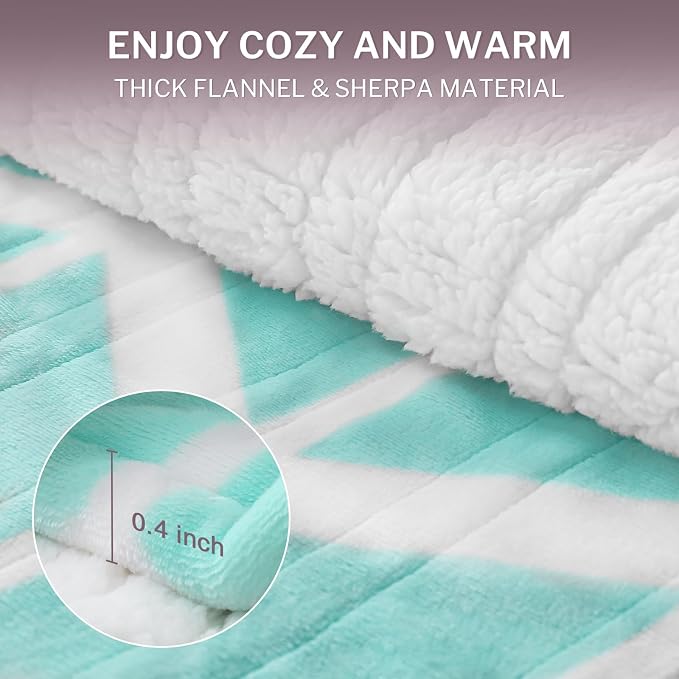 VENTIMI Heated Blanket Full, 9 Heat Levels & 2-10 Hours Auto Off, Green | ETL & FCC, Fast Warming, 72" x 84", Flannel and Sherpa, Couch Bed Use, Machine Washable, Removable Controller
