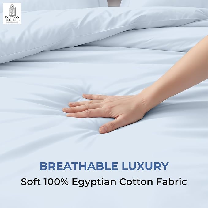 3 Pc Duvet Cover Queen Size/Full Size Set-100% Egyptian Cotton 600 Thread Count Ultra Soft Premium Durable Comforter Cover Zipper Closure & Corner Ties- (Sky Blue, 90" X 90")