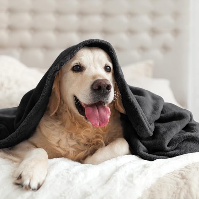 BEDELITE Fleece Blanket Soft Plush Full Bed Blanket Black 84"x90" | Ultra Soft Fleece, Plush Microfiber, Lightweight Warmth, All Season Comfort, Fade Resistant, Machine Washable, Couch Sofa Bed