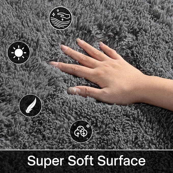 Soft Area Rugs for Livingroom Bedroom, Shaggy Plush Fuzzy Fluffy Carpet Furry Fur Rug, Modern Indoor Comfy Nursery Kids Dorm Home Decor Floor Mat, 4 x 6 ft, Charcoal