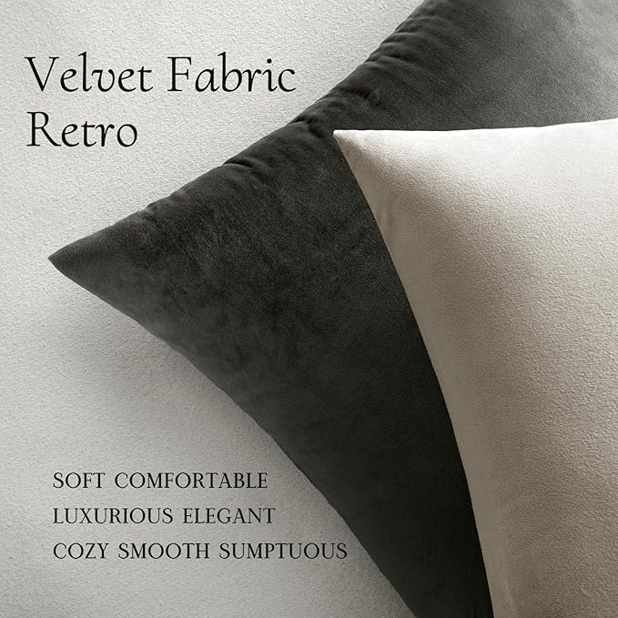 MIULEE Velvet Throw Pillow Covers 14x14 Inch Pack of 2 Cream White | Soft Solid Small Decorative Pillow Covers, Modern Luxury Home Decor, for Couch Chair Sofa Bedroom Livingroom Car
