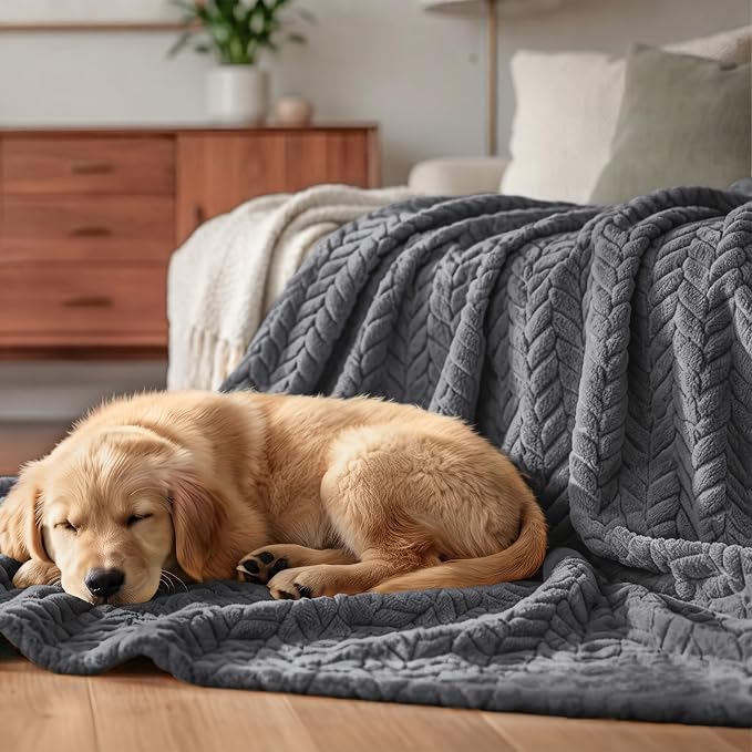 Exclusivo Mezcla Soft Fleece Bed Blanket Queen Size, 90”x66”, Dark Grey | Cozy Fluffy Lightweight Blankets for Summer, Decorative Plush Flannel Throws for Living Room, Bedroom with Leaves Pattern
