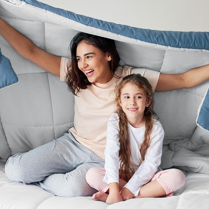 Exclusivo Mezcla Reversible Soft Twin Comforter Set, 2 Pieces | Grayish Blue Lightweight Microfiber Down Alternative Comforters, All-Season Bedding with 1 Pillow Sham