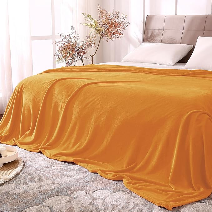 BEDELITE Fleece Blanket Soft Fall Queen Bed Blanket Burnt Orange 90"x90" | Ultra Soft Fleece, Plush Microfiber, Lightweight Warmth, Fall Decor, Fade Resistant, Machine Washable,Perfect for Bed
