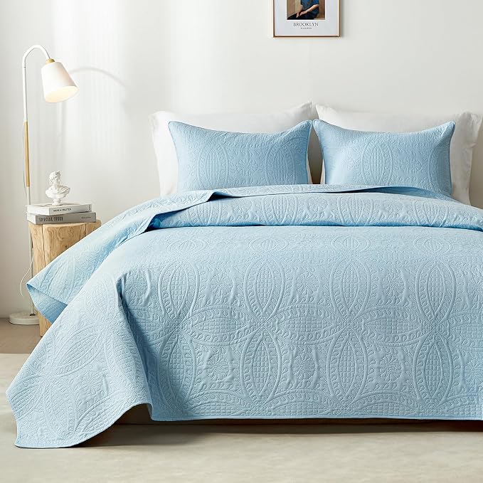 akkialla Queen Quilt Bedding Set,Sky Blue Ultrasonic Full/Queen Quilt Set,Lightweight Soft Bedspread Coverlet,Modern Style Coin Pattern Bed Cover for All Seasons,3 Piece(1 Quilt,2 Pillow Shams)