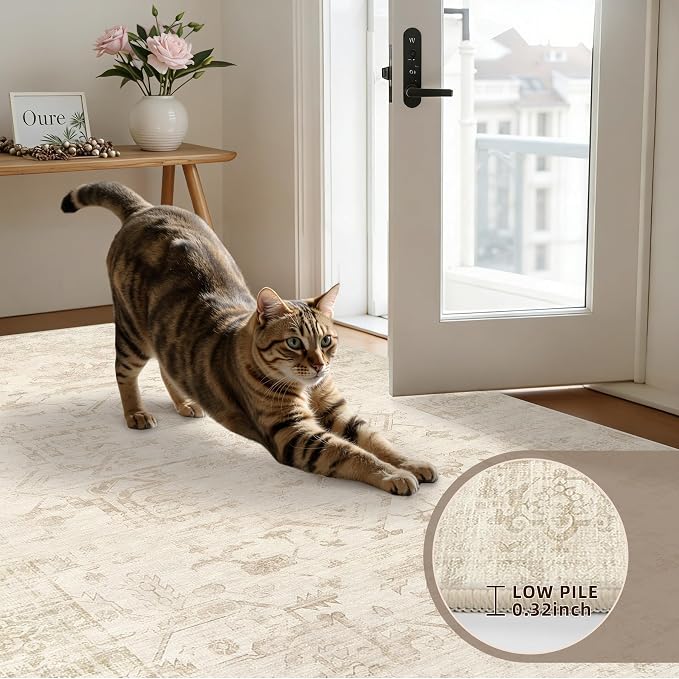 6x9 Area Rugs Living Room: Bedroom Washable Carpet Beige/Brown | Large Vintage Boho Indoor Decor Neutral Soft Nursery Farmhouse Dining Room Office Floor Non-Slip Low Pile Under Table Rug