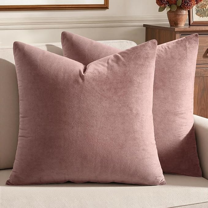 MIULEE 24x24 Inch Pack of 2 Euro Velvet Throw Pillow Covers Jam | Soft Solid Decorative Euro Sham, Modern Luxury Home Decor, for King Bed Sofa Couch Bedroom Livingroom