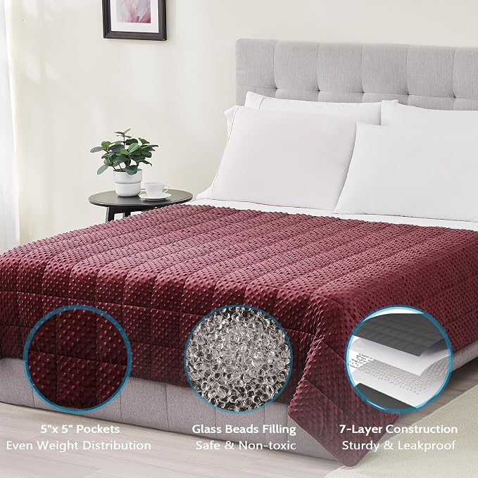 L'AGRATY Weighted Blanket for Adult - 60"x80" 20lbs Minky Dots Heavy Blanket with Glass Beads Soft Breathable for All-Season Summer Fall Winter Thick Comfort for Sleeping