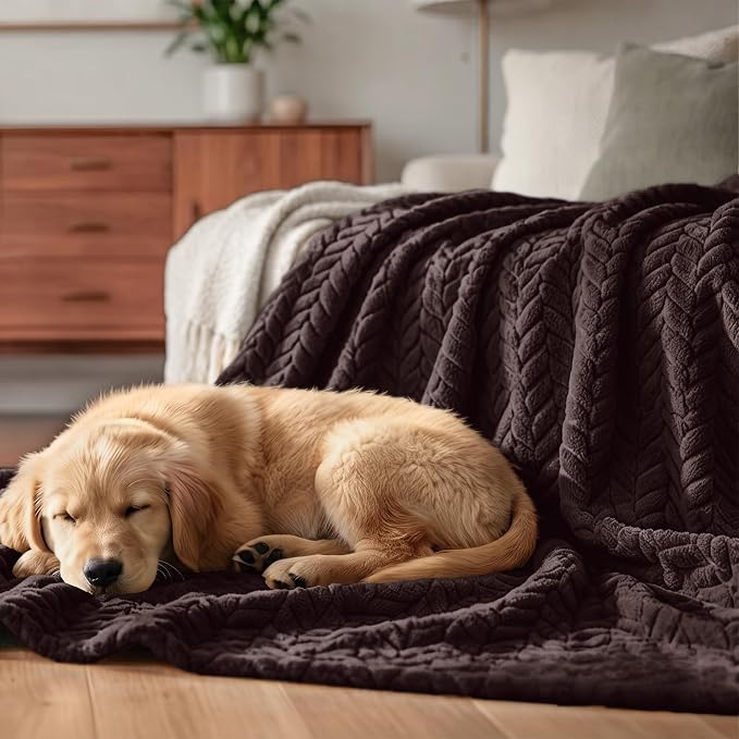 Exclusivo Mezcla Soft Fleece Bed Blanket Queen Size, 90”x90”, Coffee | Cozy Fluffy Lightweight Blankets for Summer, Decorative Plush Flannel Throws for Living Room, Bedroom with Leaves Pattern