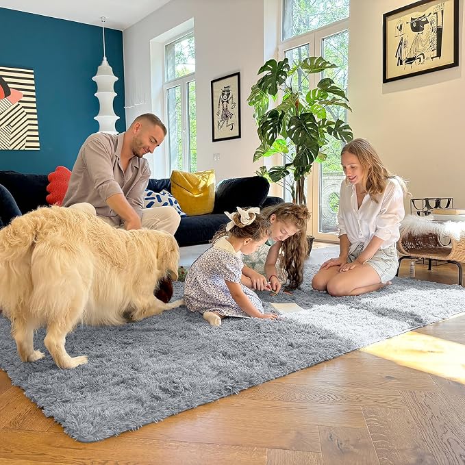 OLANLY 5x7 Machine Washable Large Area Rugs for Living Room, Bedroom, Soft Fluffy Shaggy Bedside Rug, Indoor Floor Carpet for Kids Girls and Boys, Dorms, Nursery, Home Decor, Silver Grey