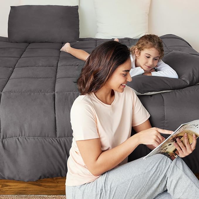 Exclusivo Mezcla Reversible Soft Twin Comforter Set, 2 Pieces | Grey Lightweight Microfiber Down Alternative Comforters, All-Season Bedding with 1 Pillow Sham