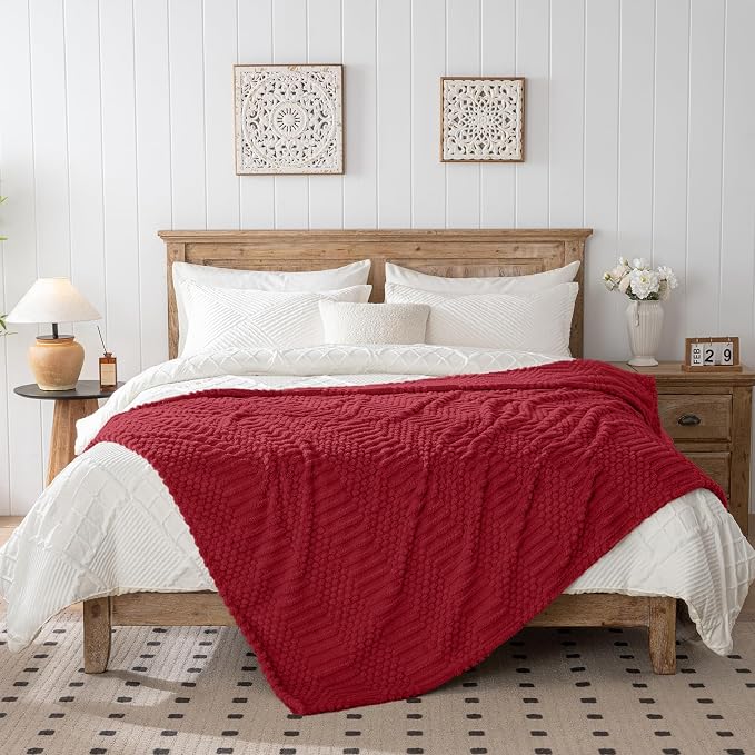 Red Throw Blanket - Soft & Fluffy Fleece, Cute & Aesthetic, Perfect for Sofa, Couch, Chair, Bed, Living Room & Bedroom, All-Season Use, Plush & Cozy Decorative Blanket 50x60