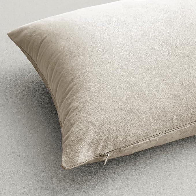 MIULEE Velvet Throw Pillow Covers 22x22 Inch Pack of 2 Cream White | Soft Solid Decorative Pillow Covers, Modern Luxury Home Decor, for Couch Chair Sofa Bedroom Livingroom