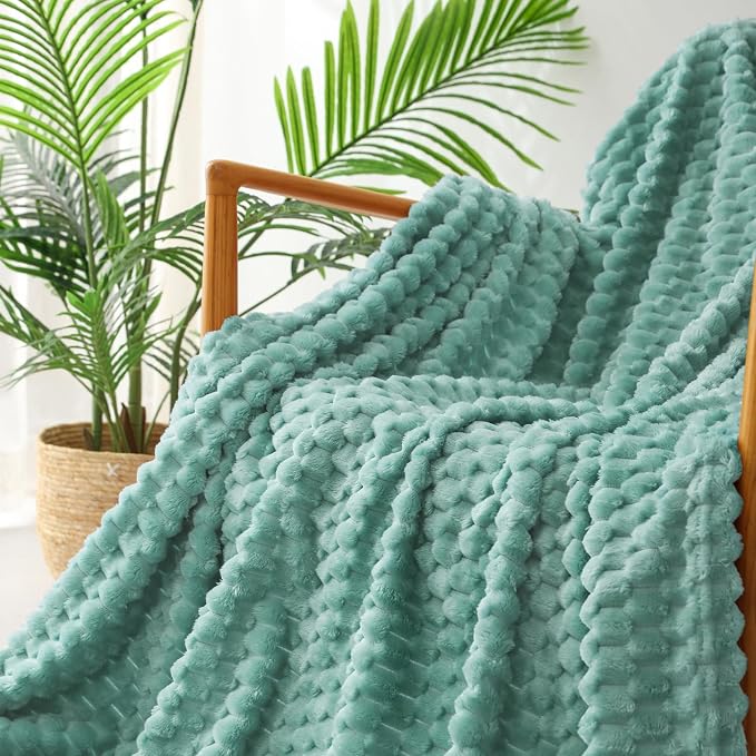 Exclusivo Mezcla 3D Fleece Twin Size Blanket for Bed, Celadon | Extra Soft Fuzzy Plush Lightweight Bed Blankets, Cozy Fluffy Decorative Blankets for All Seasons, 60x80 Inches