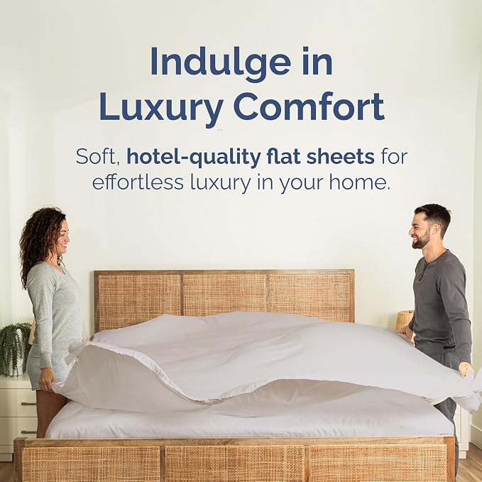 Queen Flat Sheet - Single Top Flat Sheet Only - Soft & Cooling - Light Grey | Hotel Luxury Top Flat Sheet Only, Ultra-Soft, Breathable & Cooling, Fade & Wrinkle Free, Easy-Care, Stain & Shrink Resistant