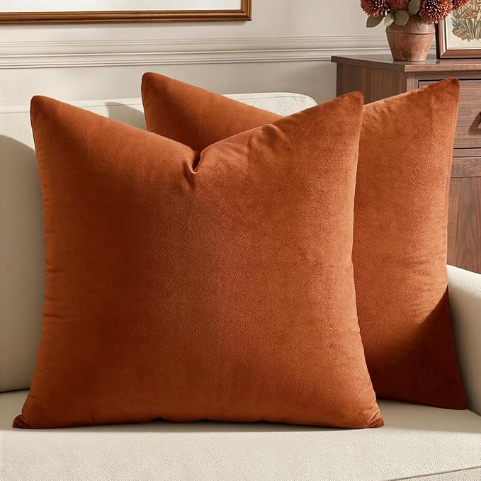 MIULEE Velvet Fall Throw Pillow Covers 18x18 Inch Pack of 2 Rust | Soft Solid Decorative Pillow Covers, Modern Luxury Home Decor, for Couch Chair Sofa Bedroom Livingroom