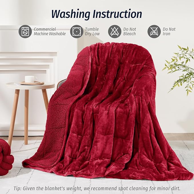 Sherpa Fleece Weighted Blanket for Adult 15lb Queen 60"x80" Burgundy | Deep Pressure Wraps, Relax Body & Mind, Better Sleep, Dual Sided Cozy Heavy Blanket, Soft Plush Flannel Top, Ideal Gift