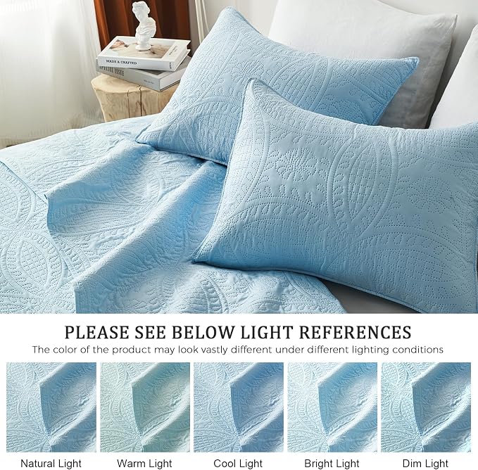 akkialla Queen Quilt Bedding Set,Sky Blue Ultrasonic Full/Queen Quilt Set,Lightweight Soft Bedspread Coverlet,Modern Style Coin Pattern Bed Cover for All Seasons,3 Piece(1 Quilt,2 Pillow Shams)