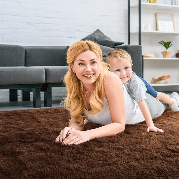 Soft Modern Indoor Large Shaggy Rug for Bedroom Livingroom Dorm Kids Room Home Decorative, Non-Slip Plush Fluffy Furry Fur Area Rugs Comfy Nursery Accent Floor Carpet 6x9 Feet, Brown