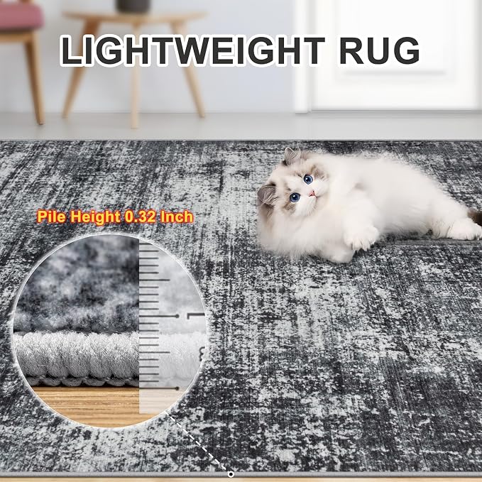 PLHXFR Area Rug Living Room: 5x7 Abstract Washable Carpet Dark Black | For Bedroom Dining Room Farmhouse Nursery Home,Machine washable,Non Slip,Large Soft Neutral,Stain Resistant, Indoor Floor