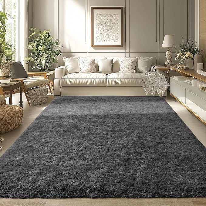Modern Soft Fluffy Large Shaggy Rug for Bedroom Livingroom Dorm Kids Room Indoor Home Decorative, Non-Slip Plush Furry Fur Area Rugs Comfy Nursery Accent Floor Carpet 4'x6' Dark Grey
