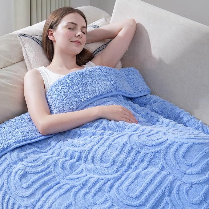 Drewin Weighted Blanket Queen Size 15lbs for Adults,Sky Blue,60" x 80" | Stress Relief & Better Sleep,Soft Jacquard Sherpa with Glass Beads,Machine Washable,Great for Napping,Relaxing,Reading