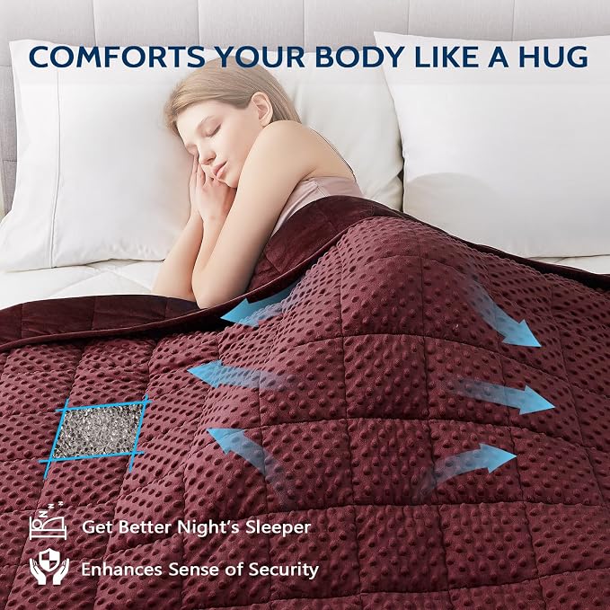 L'AGRATY Weighted Blanket for Adult - 60"x80" 20lbs Minky Dots Heavy Blanket with Glass Beads Soft Breathable for All-Season Summer Fall Winter Thick Comfort for Sleeping