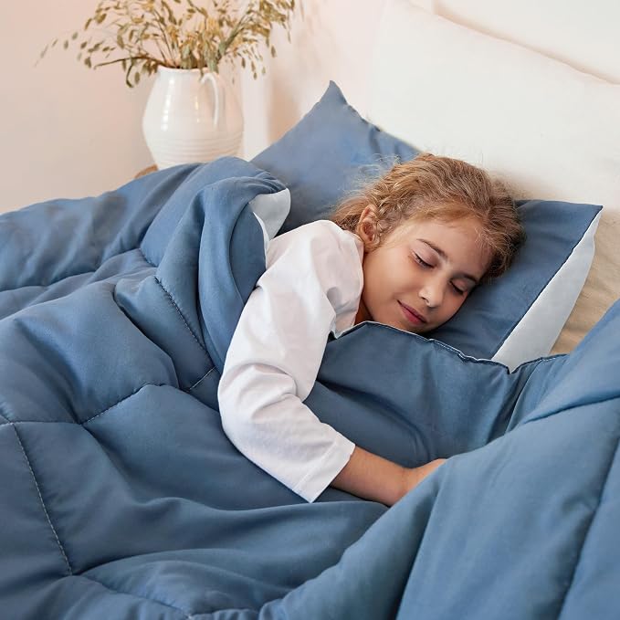 Exclusivo Mezcla Reversible Soft Twin Comforter Set, 2 Pieces | Grayish Blue Lightweight Microfiber Down Alternative Comforters, All-Season Bedding with 1 Pillow Sham