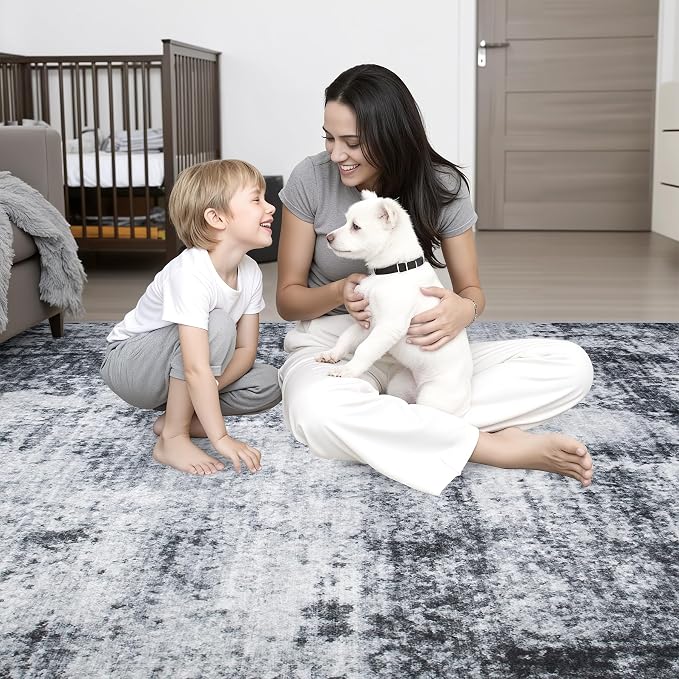 Area Rug Living Room: 4x6 Modern Washable Soft Carpet Dark Black | For Bedroom Dining Room Farmhouse Nursery Hallway Office,Modern Abstract,Machine washable,Non-Slip,Stain Resistant,Indoor
