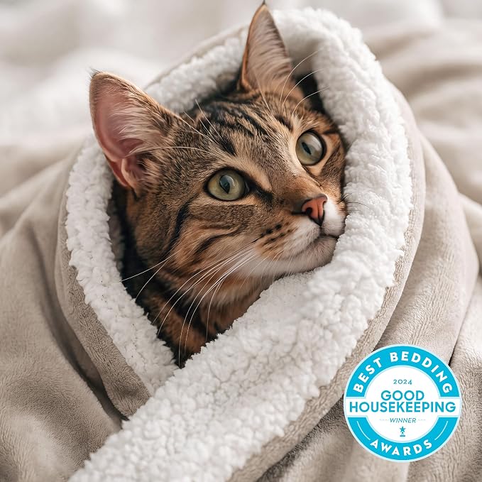 Bedsure GentleSoft Sherpa Fleece Blanket Queen Size for Bed, Non-Heated, Thick and Warm Throw for Women and Men, Soft Fuzzy Plush Queen Blanket for Winter, Beige, 90x90 Inches