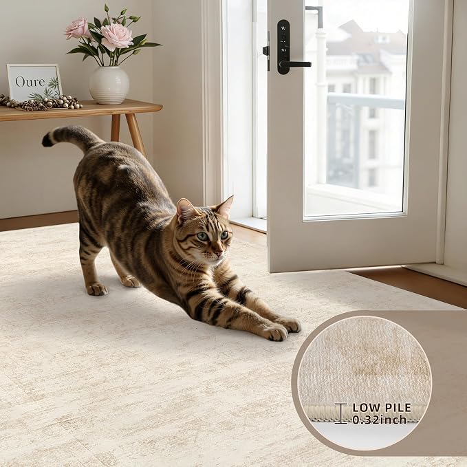 5x7 Area Rugs Living Room: Bedroom Washable Carpet Retro Beige | Large Vintage Boho Indoor Decor Neutral Soft Nursery Farmhouse Dining Room Office Floor Non-Slip Low Pile Under Table Rug