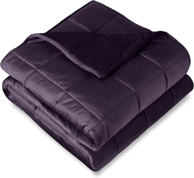 Bare Home Minky Fleece Weighted Blanket (Eggplant, 40"x60" 10lbs) | Twin or Full Size, Minky Fleece, Premium Heavy Blanket Nontoxic Glass Beads