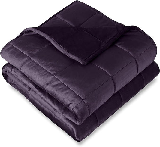 Bare Home Minky Fleece Weighted Blanket (Eggplant, 40"x60" 10lbs) | Twin or Full Size, Minky Fleece, Premium Heavy Blanket Nontoxic Glass Beads