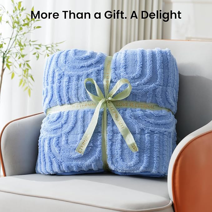Drewin Weighted Blanket Queen Size 15lbs for Adults,Sky Blue,60" x 80" | Stress Relief & Better Sleep,Soft Jacquard Sherpa with Glass Beads,Machine Washable,Great for Napping,Relaxing,Reading