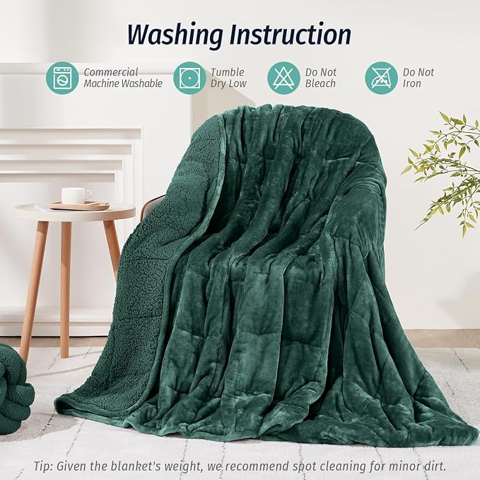 Sherpa Fleece Weighted Blanket for Adult 20 lbs Queen 60"x80" Green | Better Sleep, Relax Body & Mind, Dual Sided Soft Fuzzy Heavy Throw Blankets, Plush Flannel Top, Chunky Fluffy, Warm Hug