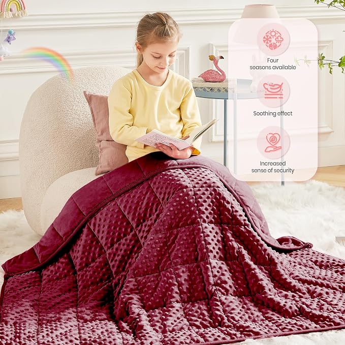 Weighted Blanket - 2 lbs Burgundy Minky Heavy Blanket, 20"x30", Small Size Breathable Lap Blanket