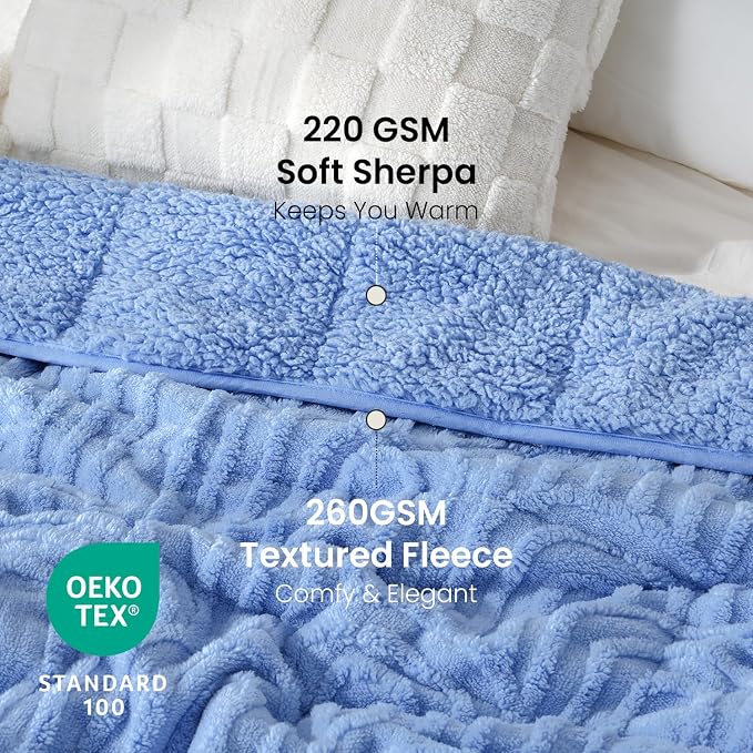 Drewin Weighted Blanket Queen Size 15lbs for Adults,Sky Blue,60" x 80" | Stress Relief & Better Sleep,Soft Jacquard Sherpa with Glass Beads,Machine Washable,Great for Napping,Relaxing,Reading