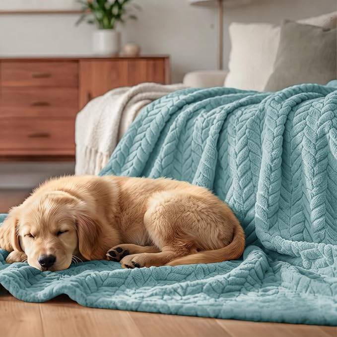 Exclusivo Mezcla Soft Fleece Bed Blanket King Size, 90”x104”, Celadon | Cozy Fluffy Lightweight Blankets for Summer, Decorative Plush Flannel Throws for Living Room, Bedroom with Leaves Pattern