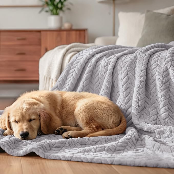 Exclusivo Mezcla Light Grey Fleece Queen Size Blanket for Bed, 90x90 Inches Soft Cozy 3D Decorative Jacquard Flannel Blankets, Lightweight Fuzzy Plush Warm Blankets for All Seasons | Cozy Fluffy Lightweight Blankets for Summer, Decorative Plush Flannel...