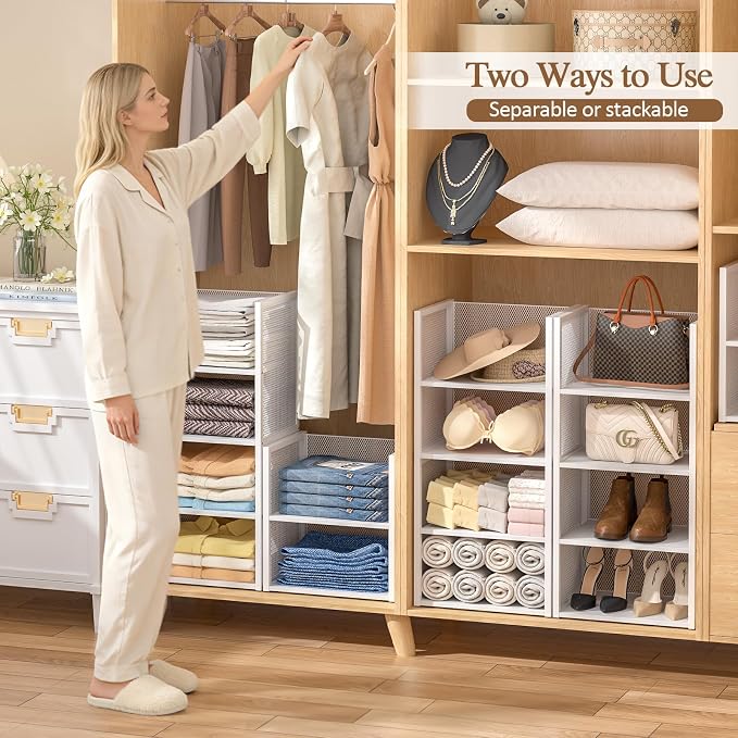 2-Tier Stackable Closet Organizers and Storage Basket, Wire Clothes Shelf Organizer Bins, Sweater Storage for Wardrobe Cupboard, Multifunctional Cube Storage Box for Kitchen Bath Laundry Room, White