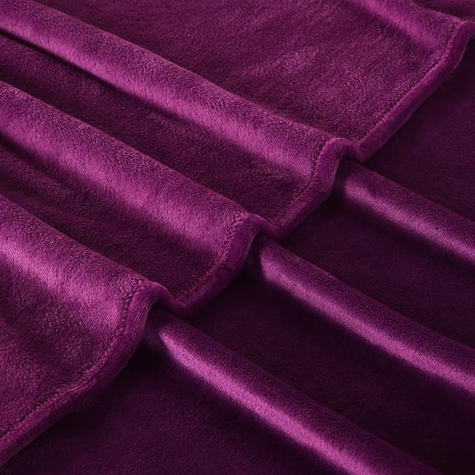 TASTHROW Large Flannel Fleece Throw Blanket, 50×70 Inch | Cozy Lightweight Thick Blanket - All Seasons Suitable for Women, Men and Kids (Two Pack, Purple)