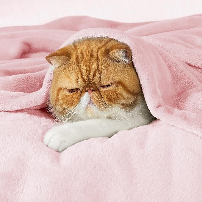 Bedsure GentleSoft Pink Fleece Throw Blanket for Couch - 300GSM Cozy Soft Blankets for Women, Cute Small Fleece Throws for Girls, Pink Home Decor Gifts, 50x60 Inches (Pack of 3)