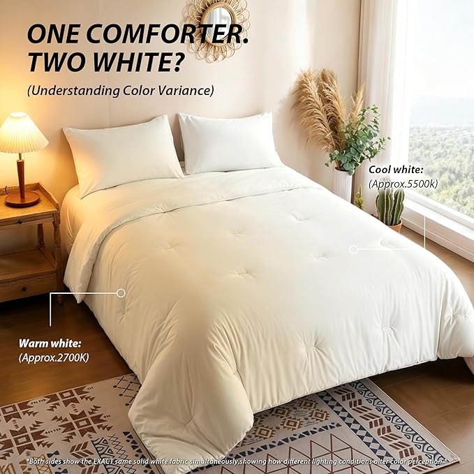 weigelia Cream Comforter Set Queen Size, All Season Lightweight Bedding Set | Soft Microfiber Queen Comforter Set, Machine Washable, Solid Color Bed Set (1 Comforter, 2 Pillowcase)