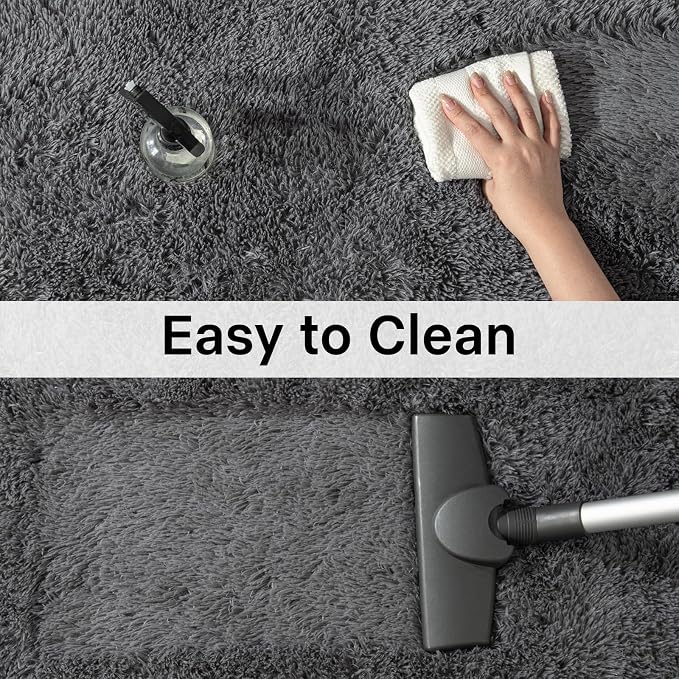 Soft Area Rugs for Livingroom Bedroom, Shaggy Plush Fuzzy Fluffy Carpet Furry Fur Rug, Modern Indoor Comfy Nursery Kids Dorm Home Decor Floor Mat, 4 x 6 ft, Charcoal