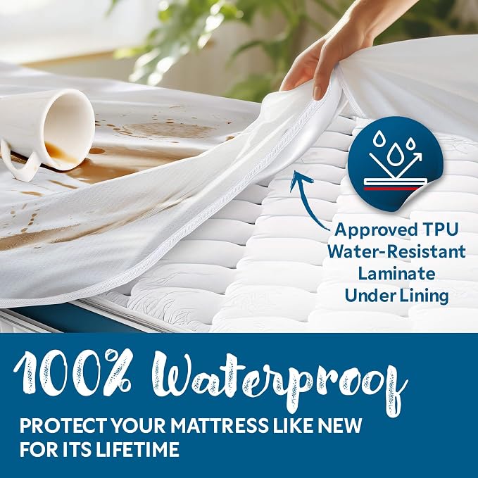 Guardmax Queen Mattress Protector Cover Zippered | 100% Waterproof Bed Bug Encasement | Soft, Hypoallergenic and Breathable | Queen Size (60"x80")